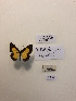  ( - LEP-78369)  @11 [ ] No Rights Reserved  Unspecified Unspecified