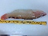 ( - AZB0004)  @11 [ ] Copyright (2020) Unspecified Ankara University Evlutionary Genetics Laboratory (eGL)