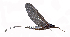  ( - zmuc00033540)  @11 [ ] pending  Unspecified Unspecified