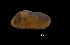  ( - I16_190)  @11 [ ] Copyright (2016) Dr. Terue Cristina Kihara DZMB Senckenberg am Meer