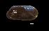  ( - I16_309)  @11 [ ] Copyright (2016) Dr. Terue Cristina Kihara DZMB Senckenberg am Meer