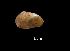  ( - I16_374)  @11 [ ] Copyright (2016) Dr. Terue Cristina Kihara DZMB Senckenberg am Meer