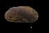  ( - I16_545)  @11 [ ] Copyright (2016) Dr. Terue Cristina Kihara DZMB Senckenberg am Meer