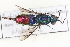  ( - DF030)  @11 [ ] Copyright (2021) David Froehlich Karl-Franzens University of Graz, Dept of Zoology