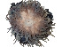  ( - LBN_CNI4701)  @11 [ ] Unspecified (default): All Rights Reserved (2024) Invemar Invemar-BEM