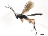  ( - 06-PROBE-3153)  @15 [ ] CreativeCommons - Attribution (2010) Unspecified Centre for Biodiversity Genomics
