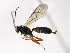  ( - 06-PROBE-3474)  @12 [ ] CreativeCommons - Attribution (2010) Unspecified Centre for Biodiversity Genomics