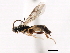  ( - 06-PROBE-3498)  @13 [ ] CreativeCommons - Attribution (2010) Unspecified Centre for Biodiversity Genomics