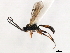  ( - 06-PROBE-3505)  @13 [ ] CreativeCommons - Attribution (2010) Unspecified Centre for Biodiversity Genomics