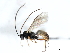 ( - 06-PROBE-3669)  @14 [ ] CreativeCommons - Attribution (2010) Unspecified Centre for Biodiversity Genomics