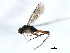  ( - 06-PROBE-3681)  @13 [ ] CreativeCommons - Attribution (2010) Unspecified Centre for Biodiversity Genomics
