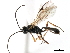  ( - 06-PROBE-3809)  @12 [ ] CreativeCommons - Attribution (2010) Unspecified Centre for Biodiversity Genomics