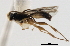  ( - 06-PROBE-3922)  @12 [ ] CreativeCommons - Attribution (2010) Unspecified Centre for Biodiversity Genomics