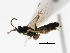  ( - 06-PROBE-3972)  @12 [ ] CreativeCommons - Attribution (2010) Unspecified Centre for Biodiversity Genomics