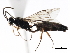  ( - 06-PROBE-3980)  @13 [ ] CreativeCommons - Attribution (2010) Unspecified Centre for Biodiversity Genomics