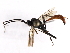 ( - 07PROBE-20539)  @13 [ ] CreativeCommons - Attribution (2009) Unspecified Centre for Biodiversity Genomics
