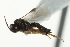  ( - 07PROBE-20782)  @13 [ ] CreativeCommons - Attribution (2010) CBG Photography Group Centre for Biodiversity Genomics