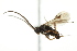 ( - 07PROBE-20809)  @12 [ ] CreativeCommons - Attribution (2010) CBG Photography Group Centre for Biodiversity Genomics