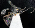  ( - SS24-0089)  @11 [ ] Unspecified (default): All Rights Reserved  So Shimizu Unspecified