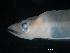  ( - C9XCC1)  @12 [ ] Unspecified (default): All Rights Reserved  Unspecified Unspecified