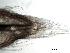  ( - C9XCC2)  @11 [ ] Unspecified (default): All Rights Reserved  Unspecified Unspecified