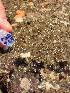  ( - BANEM-BSS2)  @11 [ ] METU-IMS  METU-IMS Unspecified