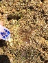  ( - BANEM-BSS4)  @11 [ ] METU-IMS  METU-IMS Unspecified