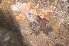  ( - BANEM-Bides5)  @11 [ ] METU-IMS  METU-IMS Unspecified