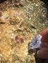  ( - BANEM-J18_BS11)  @11 [ ] METU-IMS  METU-IMS Unspecified