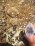  ( - BANEM-J18_BS12)  @11 [ ] METU-IMS  METU-IMS Unspecified
