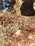  ( - BANEM-J18_BS5)  @11 [ ] METU-IMS  METU-IMS Unspecified
