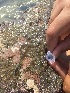  ( - BANEM-Z17)  @11 [ ] METU-IMS  METU-IMS Unspecified