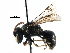  ( - CCDB-06710 E11)  @12 [ ] CreativeCommons - Attribution (2016) CBG Photography Group Centre for Biodiversity Genomics