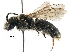  ( - CCDB-06733 B06)  @15 [ ] CreativeCommons - Attribution (2016) CBG Photography Group Centre for Biodiversity Genomics