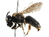  ( - CCDB-06733 B10)  @15 [ ] CreativeCommons - Attribution (2016) CBG Photography Group Centre for Biodiversity Genomics