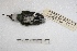  ( - MACN-Or-ct 3643)  @11 [ ] Copyright (2014) MACN Museo Argentino de Ciencias Naturales, Bernardino Rivadavia
