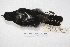 ( - MACN-Or-ct 4163)  @12 [ ] Copyright (2015) MACN Museo Argentino de Ciencias Naturales, Bernardino Rivadavia