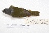 ( - MACN-Or-ct 4172)  @11 [ ] Copyright (2015) MACN Museo Argentino de Ciencias Naturales, Bernardino Rivadavia