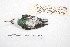  ( - MACN-Or-ct 4261)  @11 [ ] Copyright (2015) MACN Museo Argentino de Ciencias Naturales, Bernardino Rivadavia