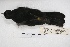  ( - MACN-Or-ct 4788)  @12 [ ] Copyright (2015) MACN Museo Argentino de Ciencias Naturales, Bernardino Rivadavia