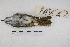  ( - MACN-Or-ct 4792)  @11 [ ] Copyright (2015) MACN Museo Argentino de Ciencias Naturales, Bernardino Rivadavia
