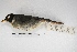  ( - MACN-Or-ct 5744)  @13 [ ] Copyright (2015) MACN Museo Argentino de Ciencias Naturales, Bernardino Rivadavia