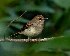  ( - MACN-Or-ct 6403)  @11 [ ] by-nc-sa  Hector Bottai Unspecified