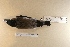  ( - MACN-Or-ct 6808_21)  @11 [ ] by-nc-sa (12121212) MACN Museo Argentino de Ciencias Naturales