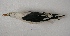  ( - MACN-Or-ct 7651)  @11 [ ] Copyright (2016) MACN Museo Argentino de Ciencias Naturales (Bernardino Rivadavia)