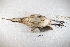  ( - MACN-Or-ct 7749)  @11 [ ] Copyright (2015) MACN Museo Argentino de Ciencias Naturales, Bernardino Rivadavia