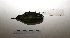  ( - MACN-Or-ct 7765)  @11 [ ] Copyright (2017) MACN Museo Argentino de Ciencias Naturales "Bernardino Rivadavia"