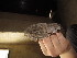  ( - MACN-Or-ct_7049.2)  @11 [ ] by-nc-sa  Unspecified Unspecified