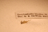  ( - IU-INHS-789201)  @11 [ ] c (2053) Jose Andres Cornell Univeristy- Department of Ecology and Evolutionary Biology