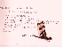  ( - UMMZI-MOS0028990)  @11 [ ] c (2021) Jose Andres Cornell Univeristy- Department of Ecology and Evolutionary Biology
